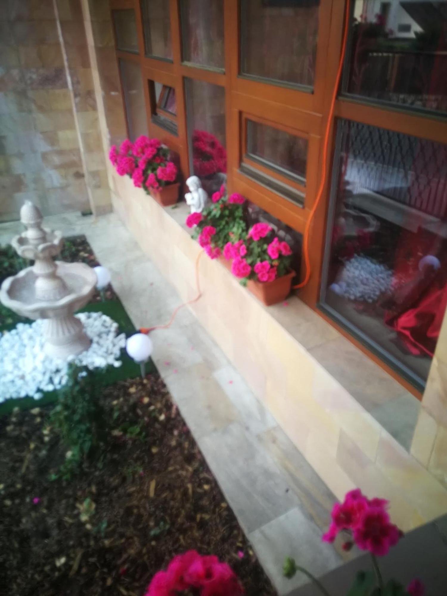 Villa Barrandovska Prague Luaran gambar